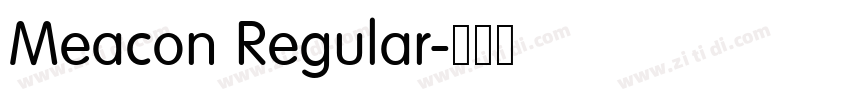 Meacon Regular字体转换